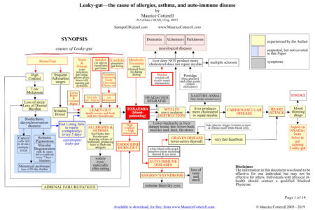 Leaky Gut Paper – Maurice Cotterell